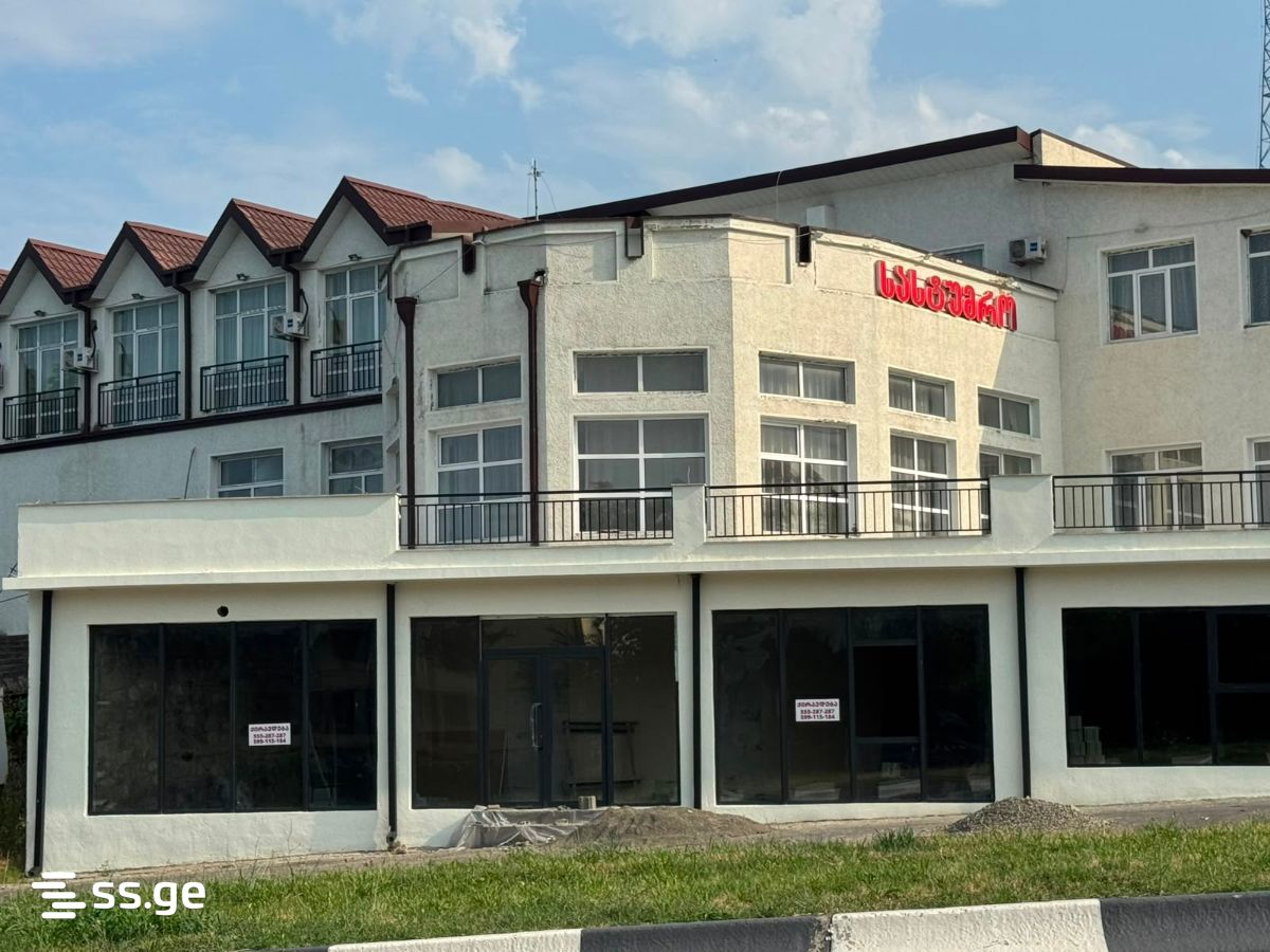 Commercial Space For Rent. Telavi view 2