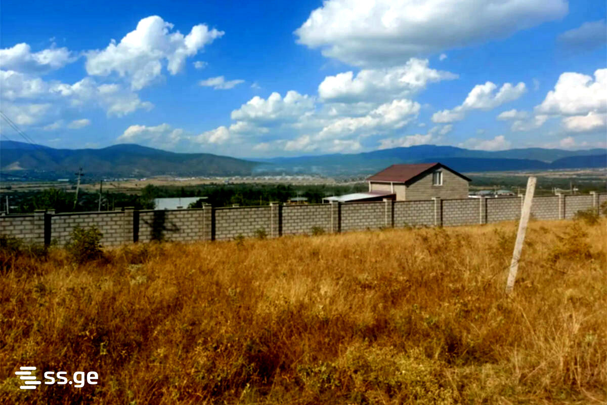 იყიდება მიწა ცეროვანიში view 1
