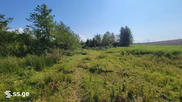 Land For Sale. Ureki view 1