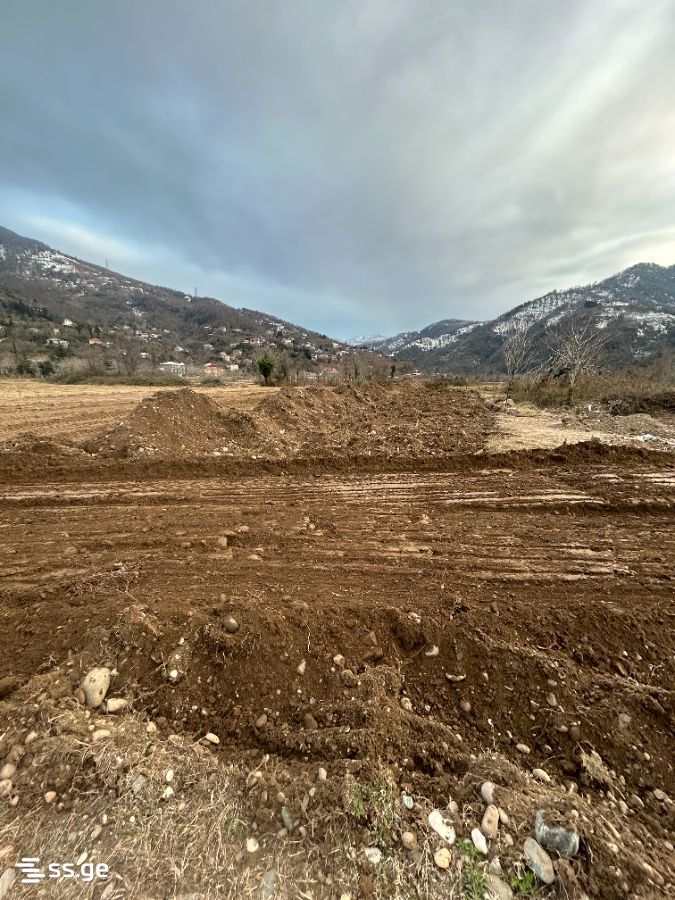 Land For Sale. Khelvachauri view 3