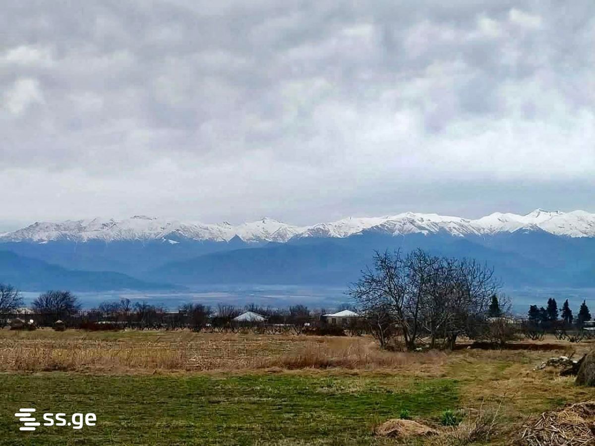 Land For Sale. Telavi, 1 of 4