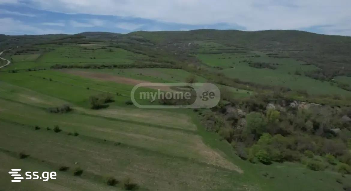 Land For Sale. Dusheti view 1