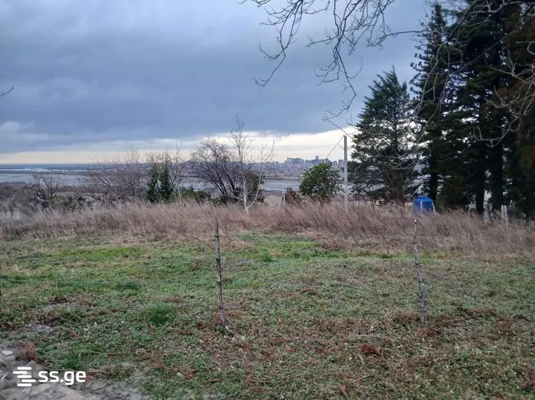 Land For Sale. Kobuleti, 2 of 2