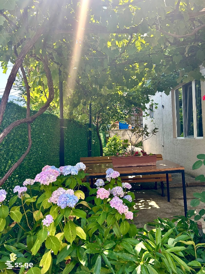 1 Room Private House Daily Rent. Borjomi view 10