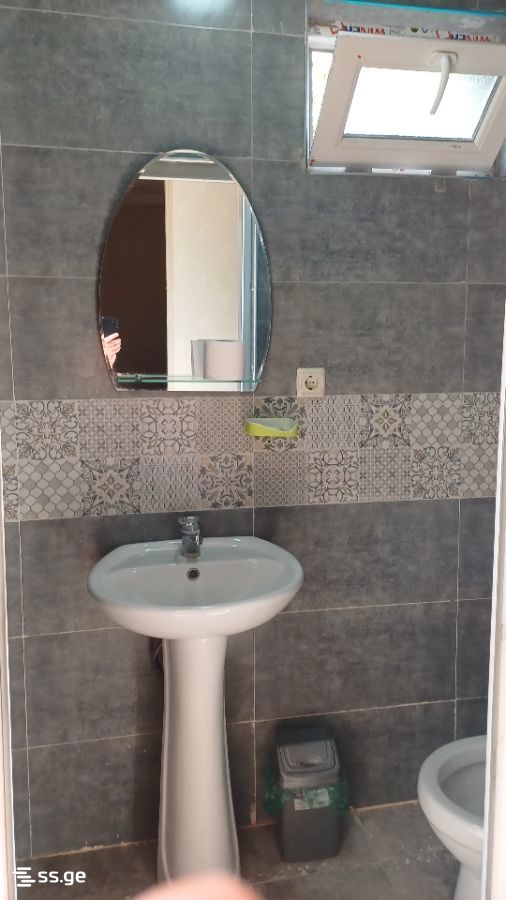 1 Room Private House Daily Rent. Borjomi view 10