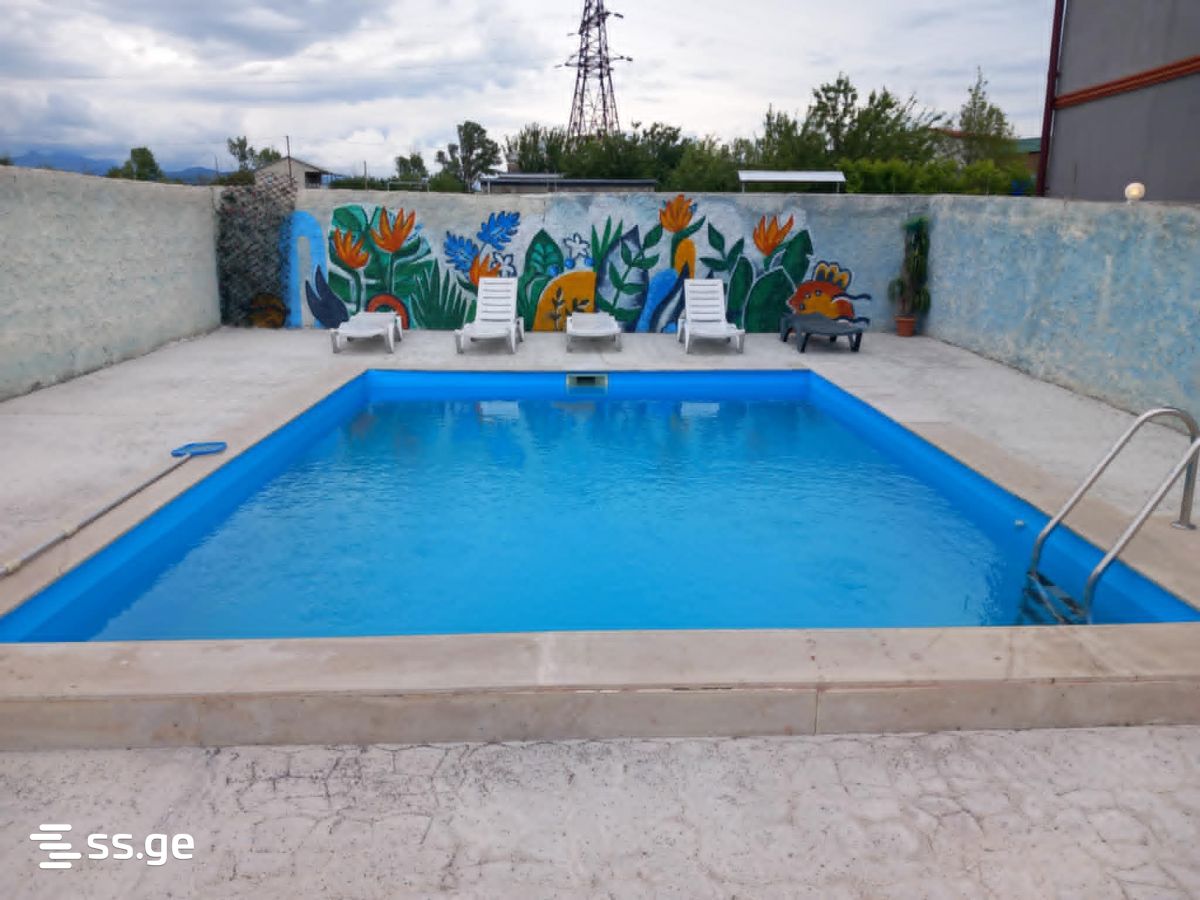 3 Room Summer Cottage Daily Rent. Bazaleti view 7