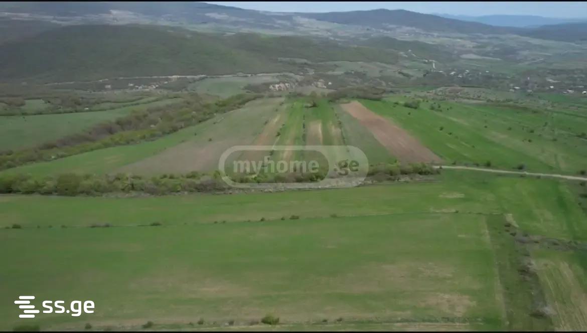 Land For Sale. Dusheti view 6