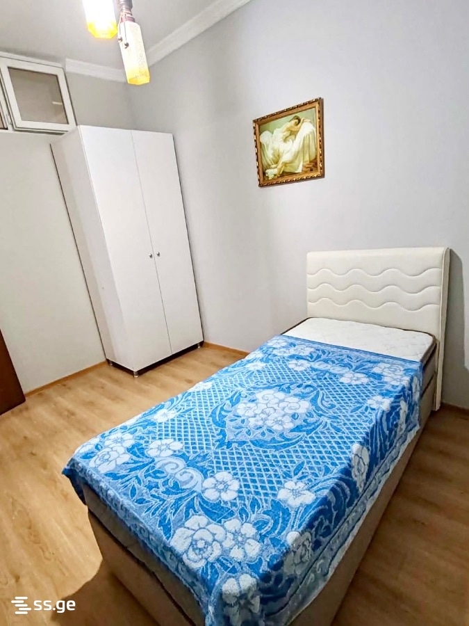 3 Room Flat For Rent. Batumi view 12