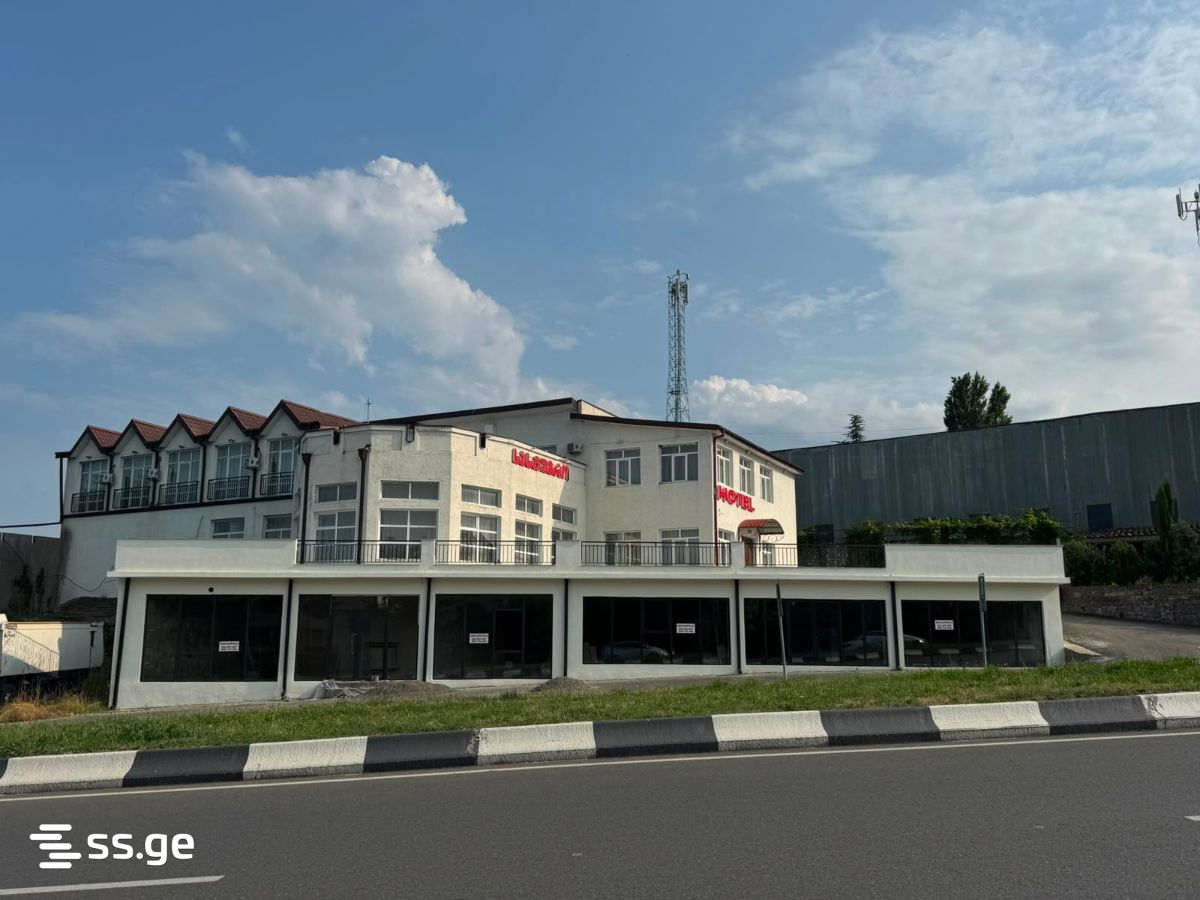 Commercial Space For Rent. Telavi view 3