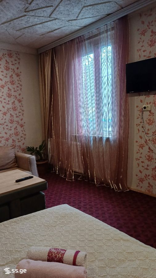 1 Room Private House Daily Rent. Borjomi view 1