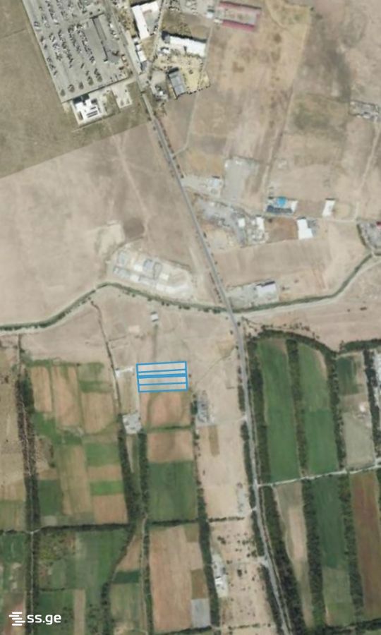 Land For Rent. Gamarjveba view 1