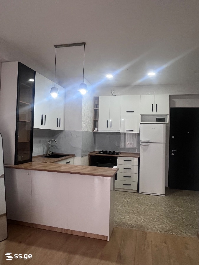 2 room Flat For Rent. Didi digomi - Widok 4