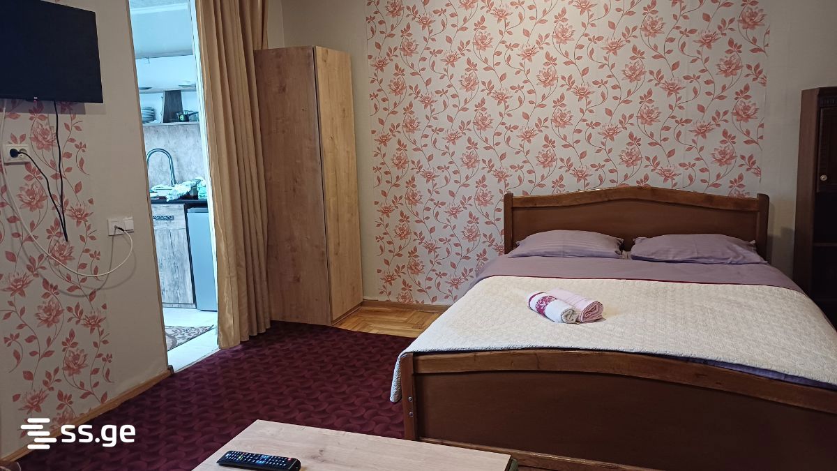 1 Room Private House Daily Rent. Borjomi view 5