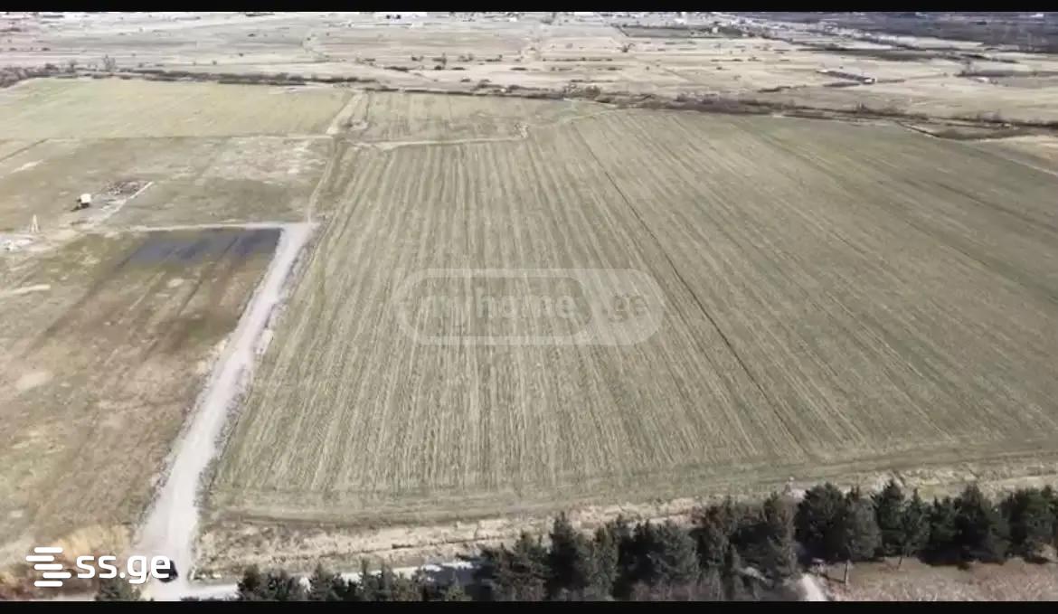 Land For Sale. Mtskheta, 4 of 4