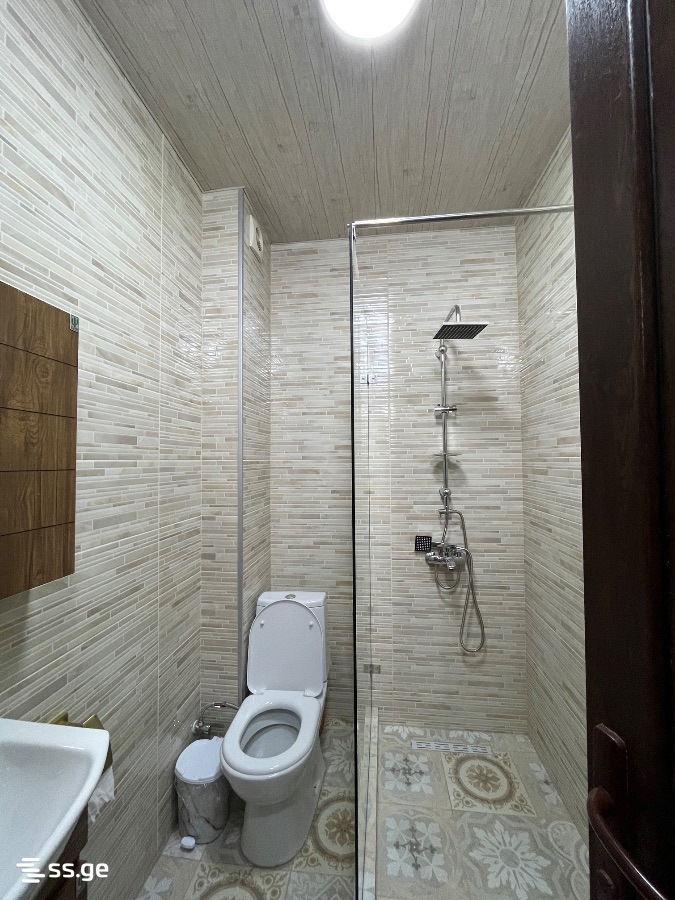 1 room Flat For Rent. Nadzaladevi – pohled 4