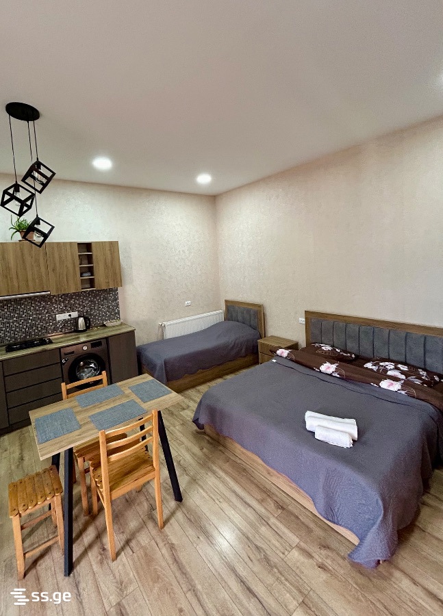 1 Room Private House Daily Rent. Borjomi view 7