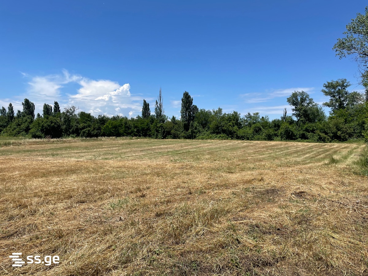 Land For Sale. Gamarjveba view 2