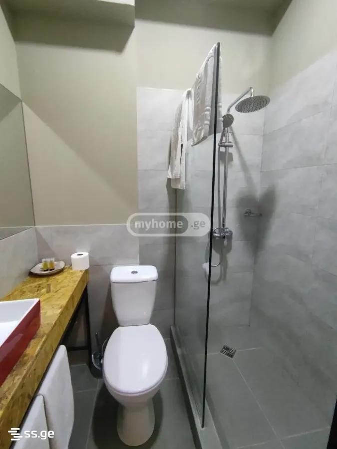 Hotel For Sale. Saburtalo view 8