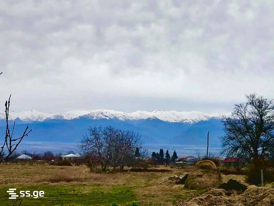 Land For Sale. Telavi, 2 of 4