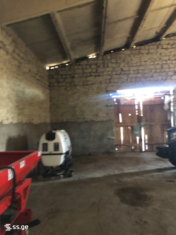 Store-Industrial Property For Sale. Gori view 7