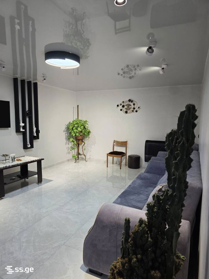 2 Room Private House For Rent. Batumi view 8