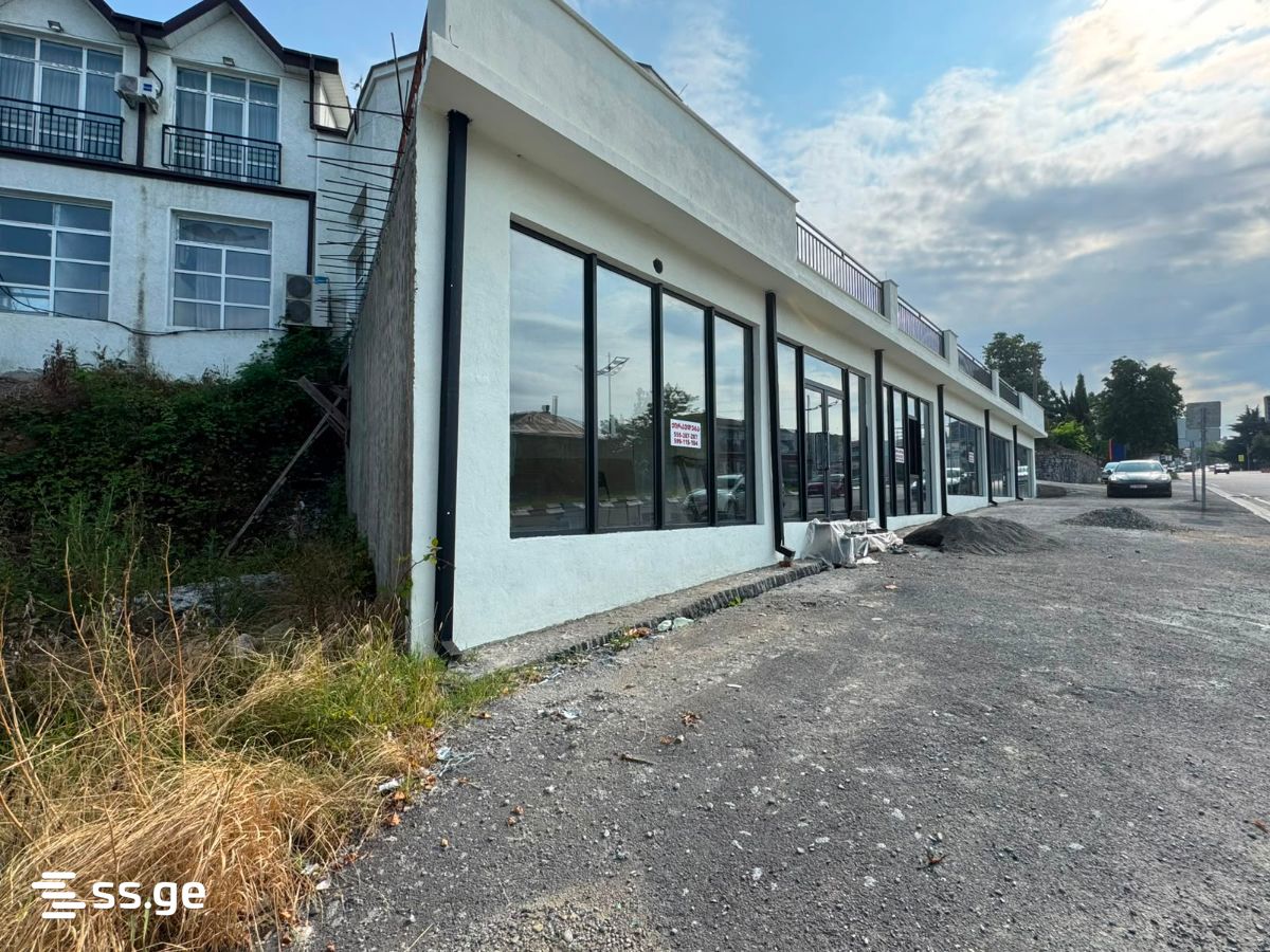 Commercial Space For Rent. Telavi view 9