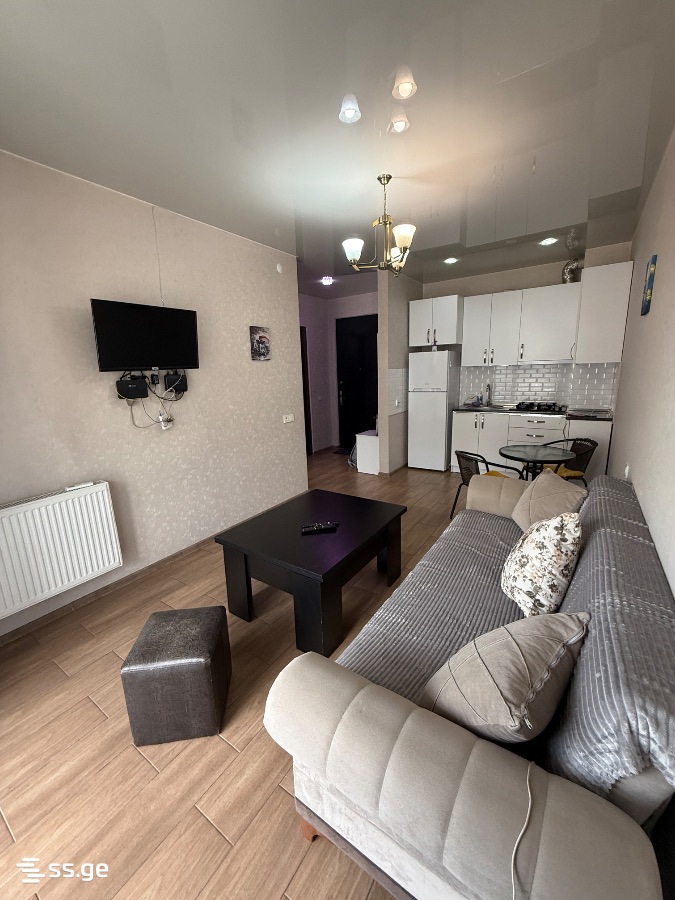 2 Room Flat Daily Rent. Nadzaladevi, 1 of 4