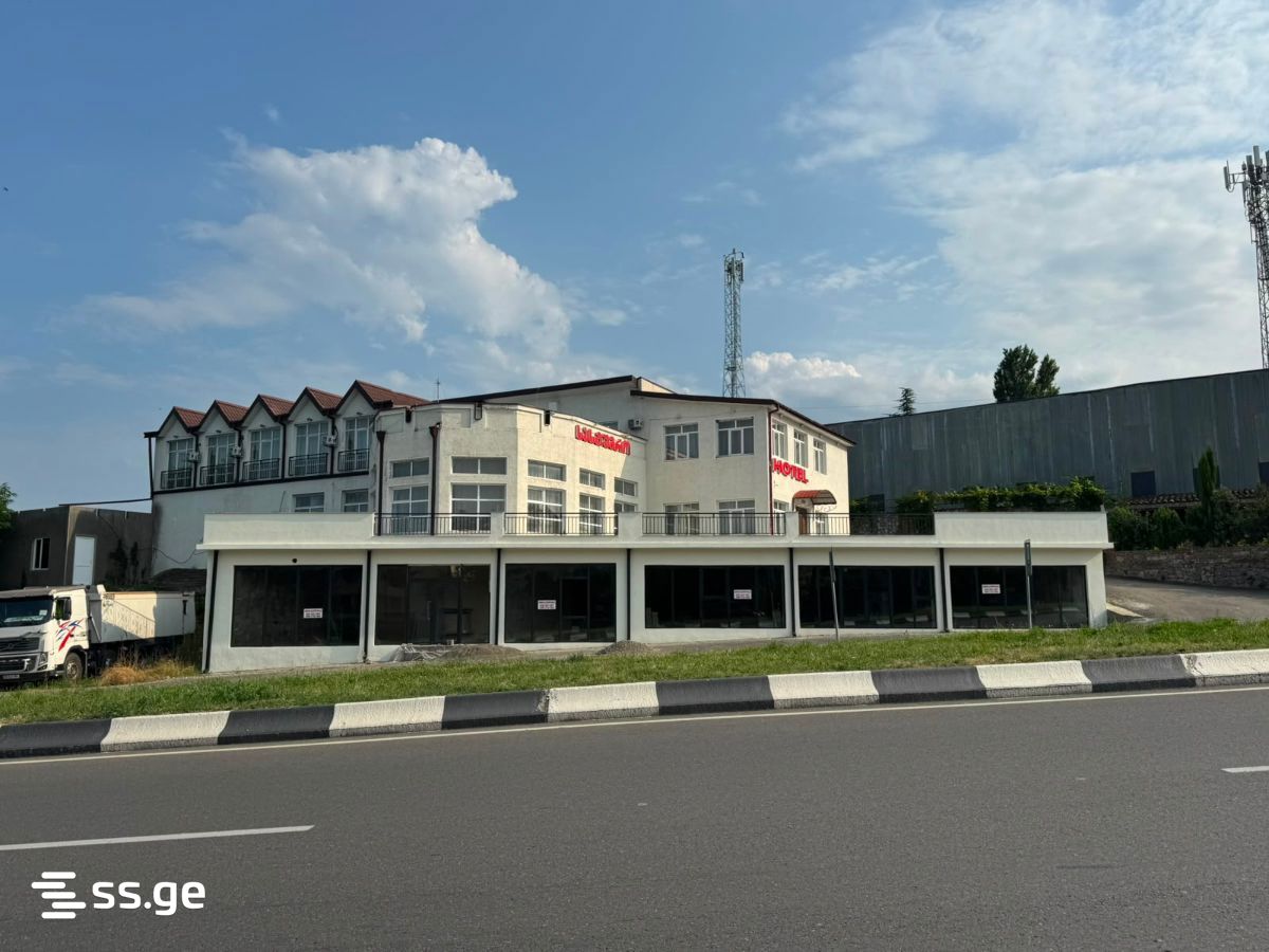Commercial Space For Rent. Telavi view 8