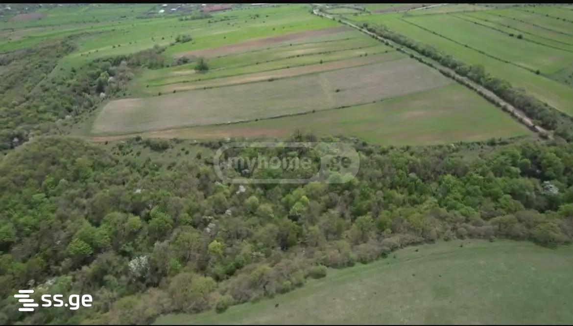 Land For Sale. Dusheti view 4