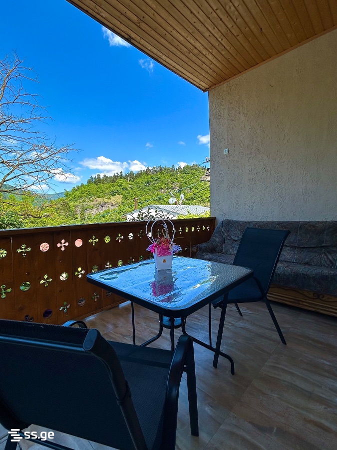 1 Room Private House Daily Rent. Borjomi view 13