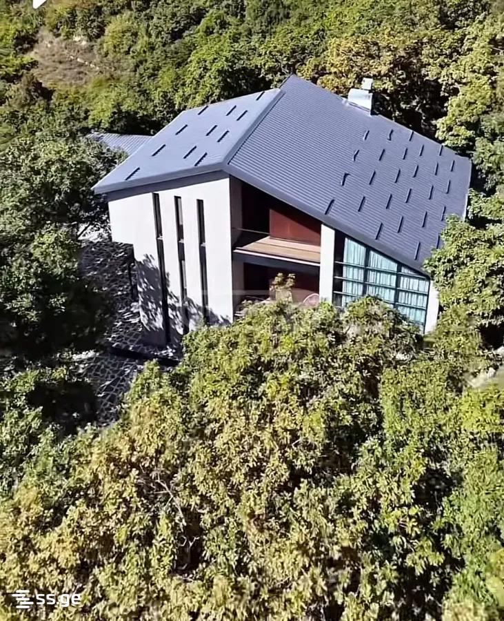 Private House For Sale. Saburtalo view 1
