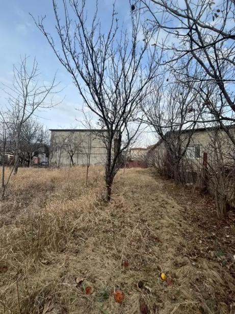 https://static.ss.ge/20260713/6_647368e5-738e-4f73-af13-51e9734e8437_Thumb.jpg