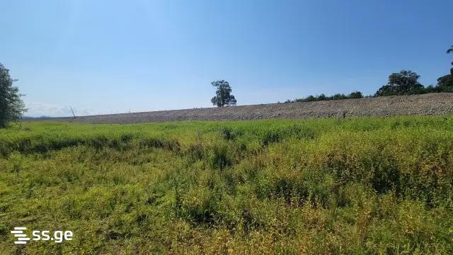 Land For Sale. Ureki view 2