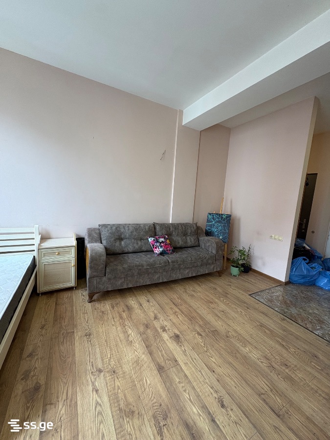 1 room Flat For Rent. Didi digomi - Widok 5