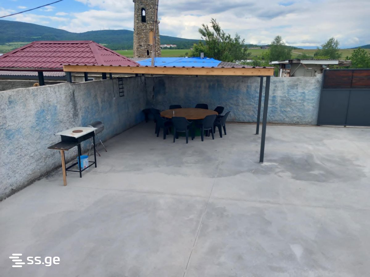 3 Room Summer Cottage Daily Rent. Bazaleti view 4
