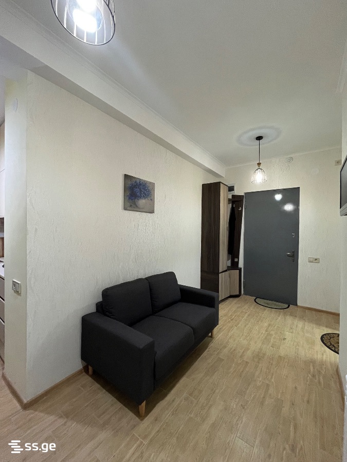 1 room Flat For Rent. Nadzaladevi – pohled 2