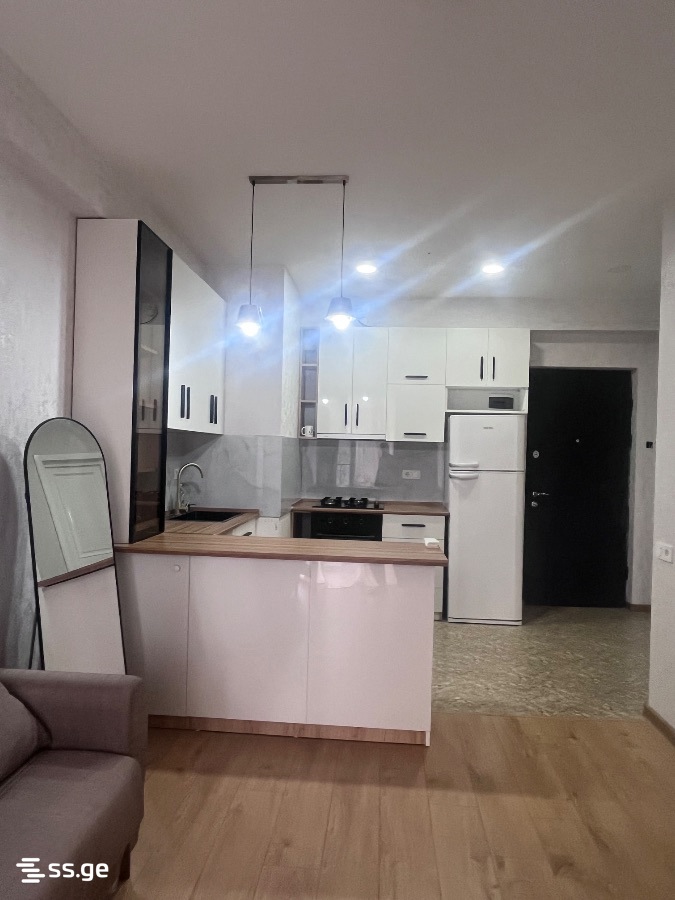 2 room Flat For Rent. Didi digomi - Widok 5