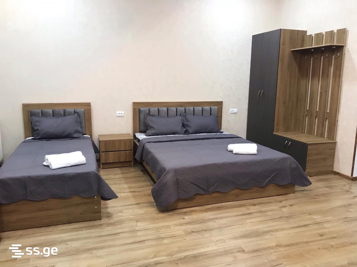 1 Room Private House Daily Rent. Borjomi view 1