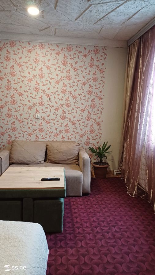 1 Room Private House Daily Rent. Borjomi view 2