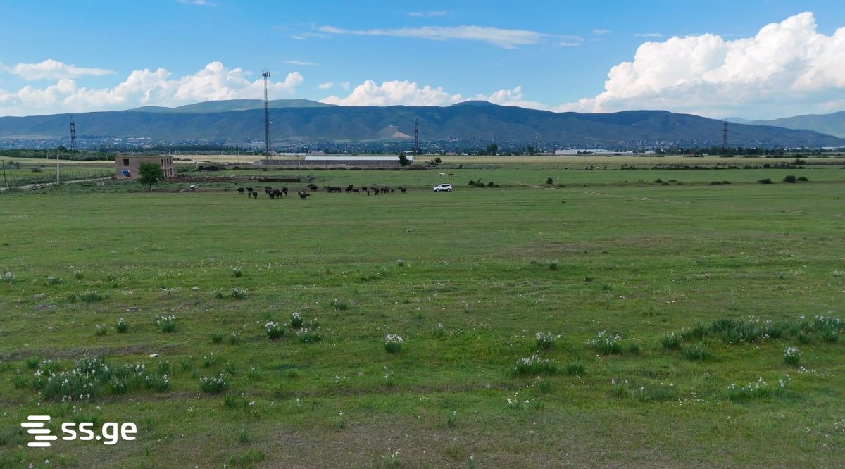 Land For Sale. Tserovani view 5