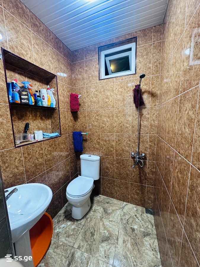 6 Room Private House Daily Rent. Batumi view 12
