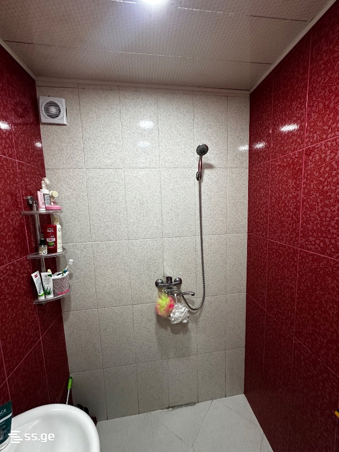 2 Room Flat For Rent. Rustavi view 8
