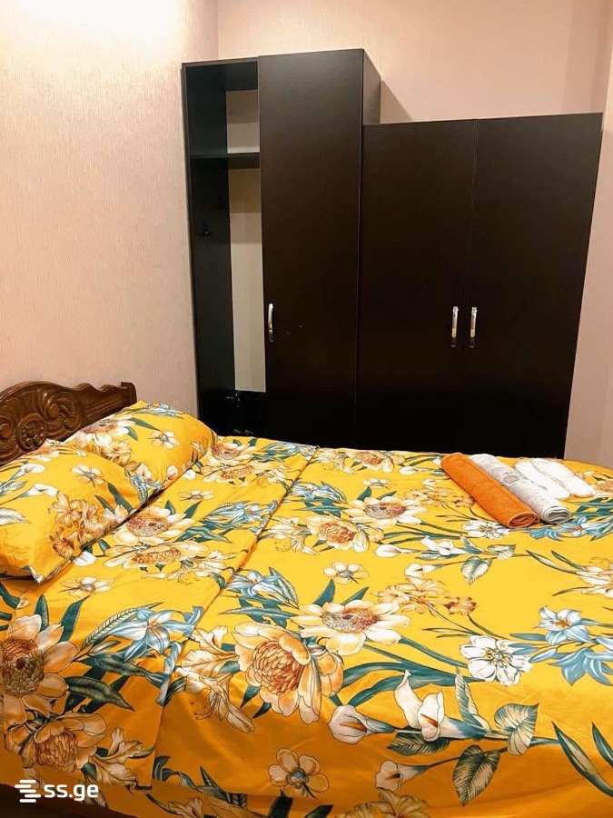 2 room Flat Daily rent. Didube - Ansicht 4