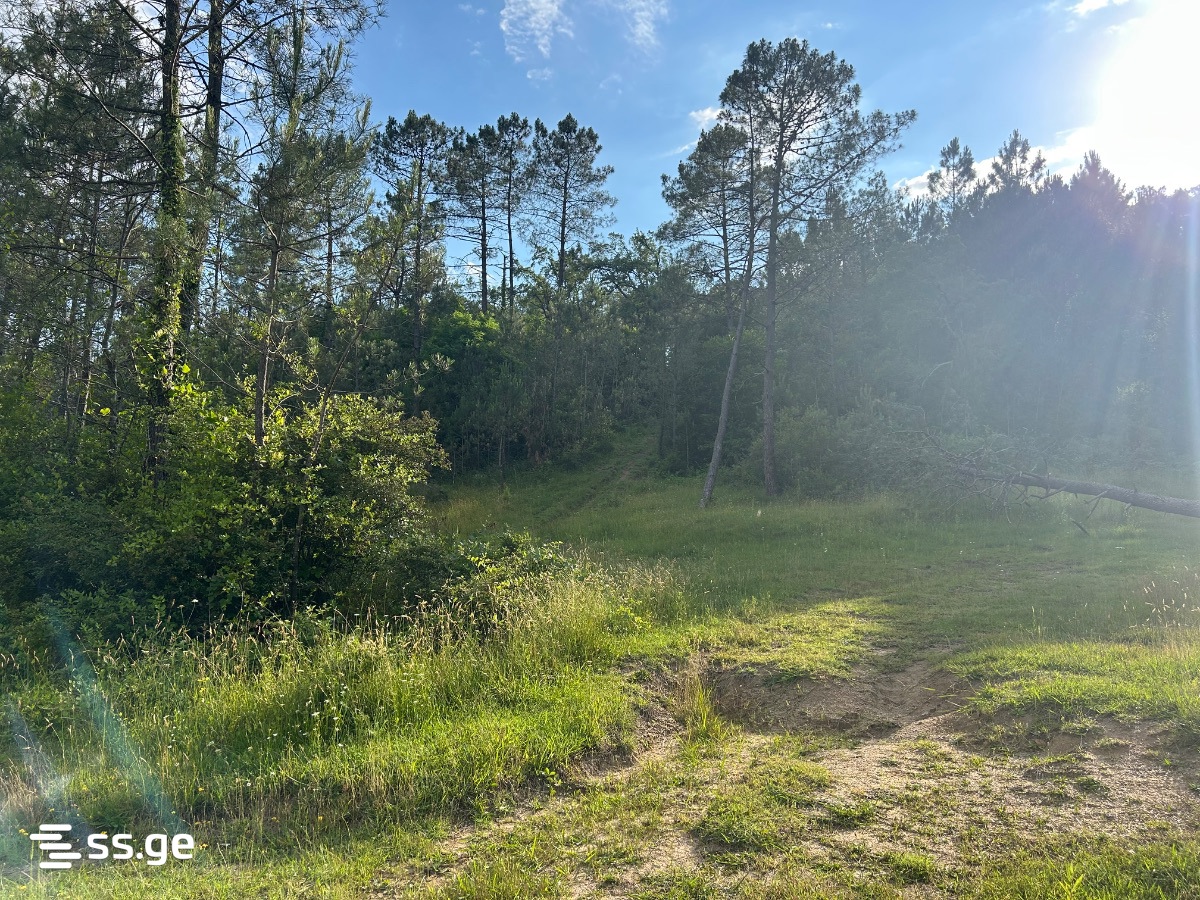Land For Sale. Kutaisi, 2 of 4