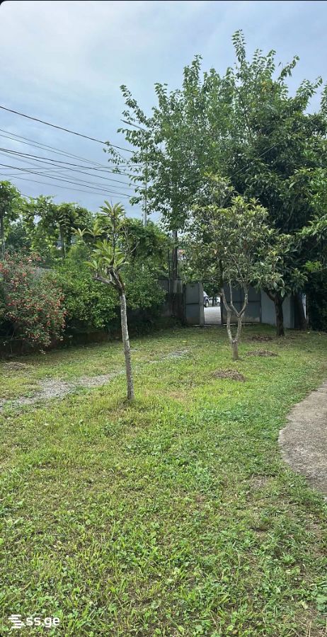 Land For Rent. Batumi, 2 of 3