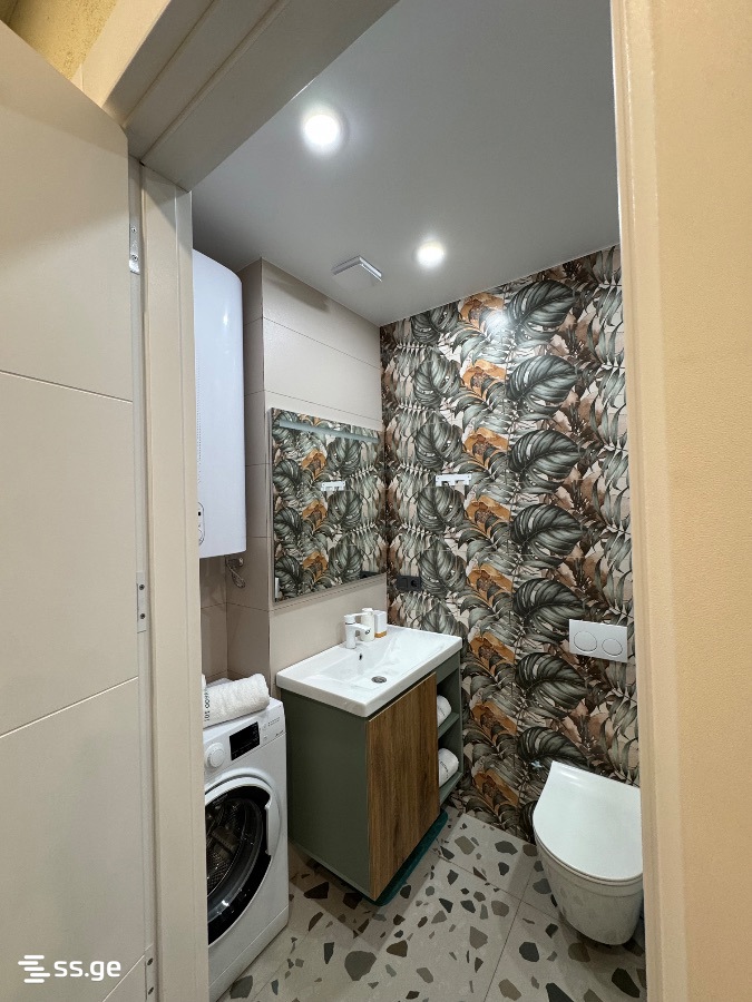 2 Room Flat For Rent. Tsikhisdziri view 14