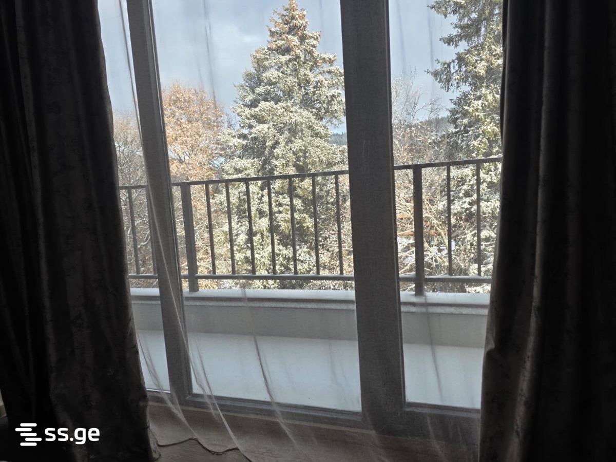 3 Room Flat Daily Rent. Bakuriani, 5 of 11