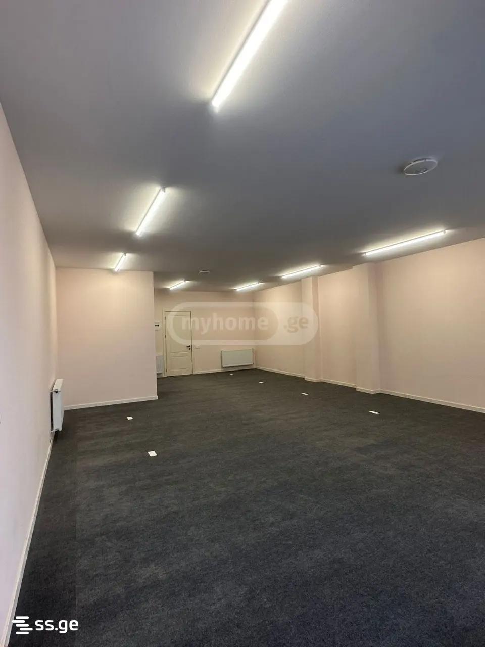 Commercial Space For Rent. Nadzaladevi, 4 of 4