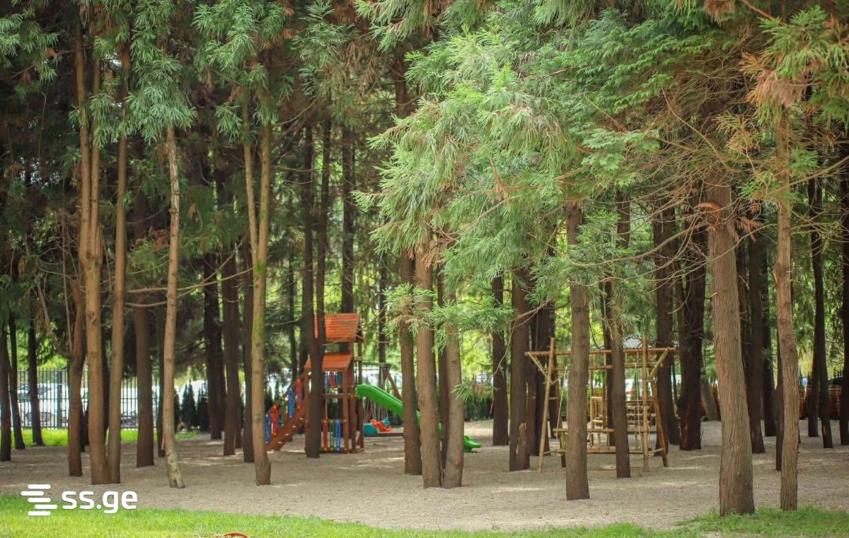 2 Room Flat For Rent. Tsikhisdziri view 1