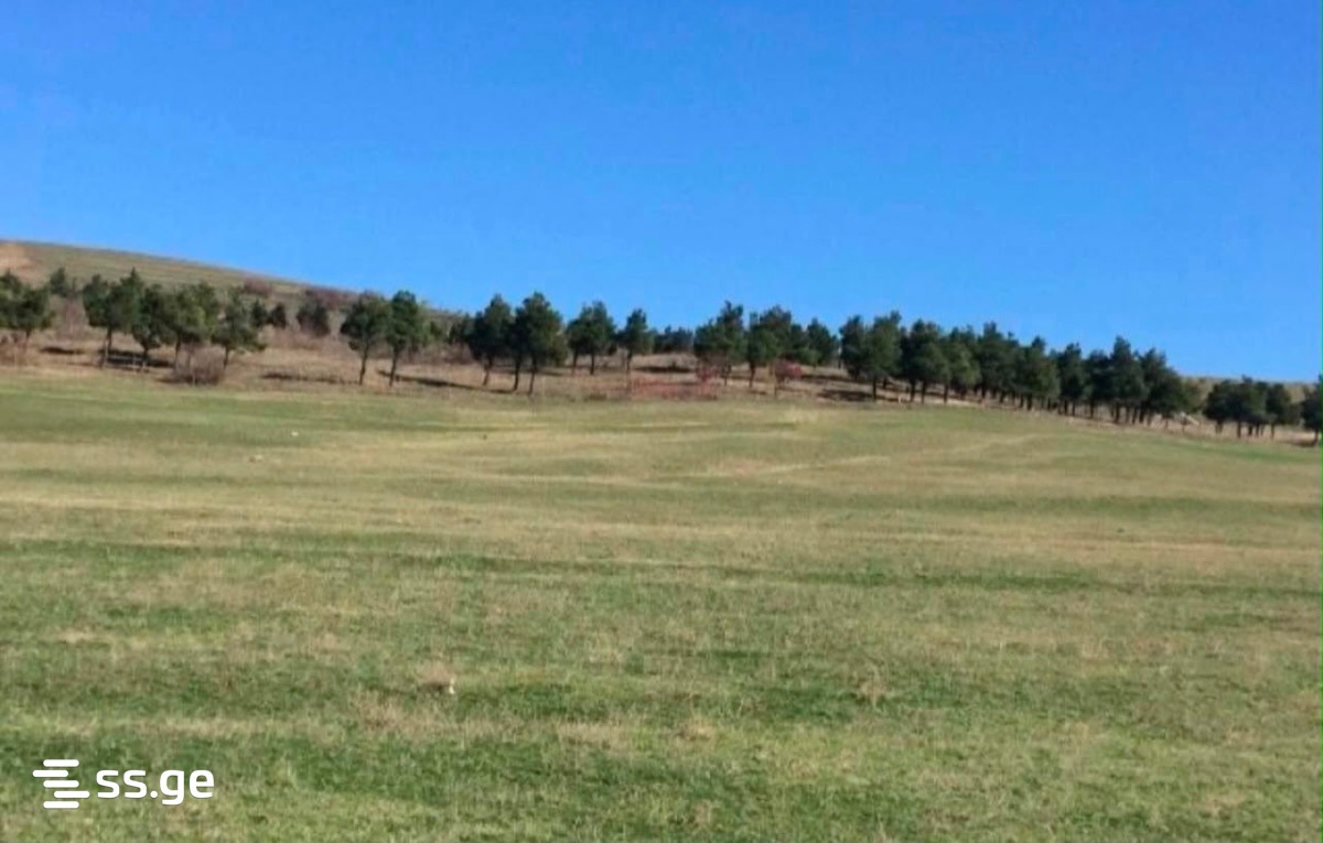 Land For Sale. Varketili, 1 of 2